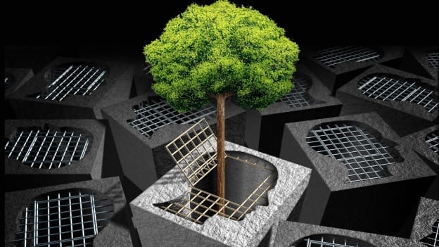 Article cover image