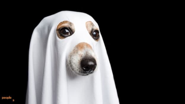 Ghost employees and how to deal with them