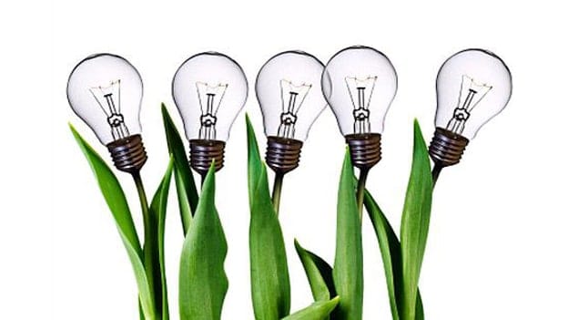 Talent development across levels: A lever to scale