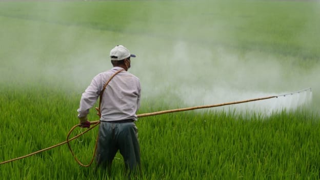 Harnessing the power of Agriculture: Driving employment opportunities in India