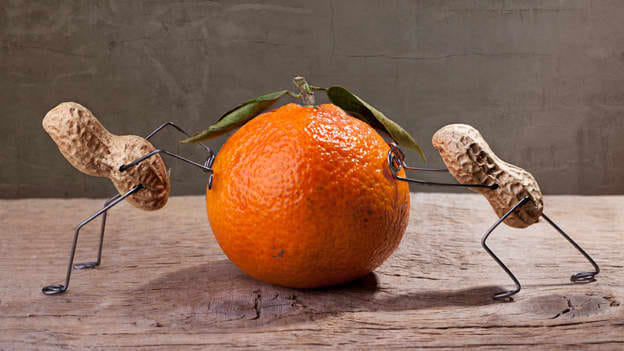 Article cover image