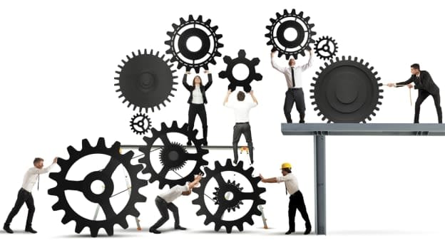 Building a successful organization: Here's how?