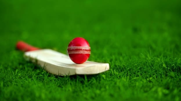 IPL: AI takes the field