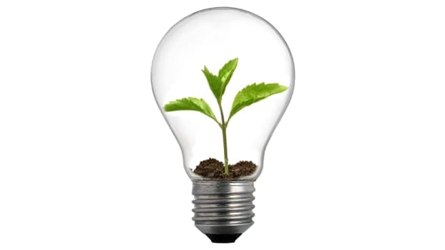 Building a Learning Ecosystem