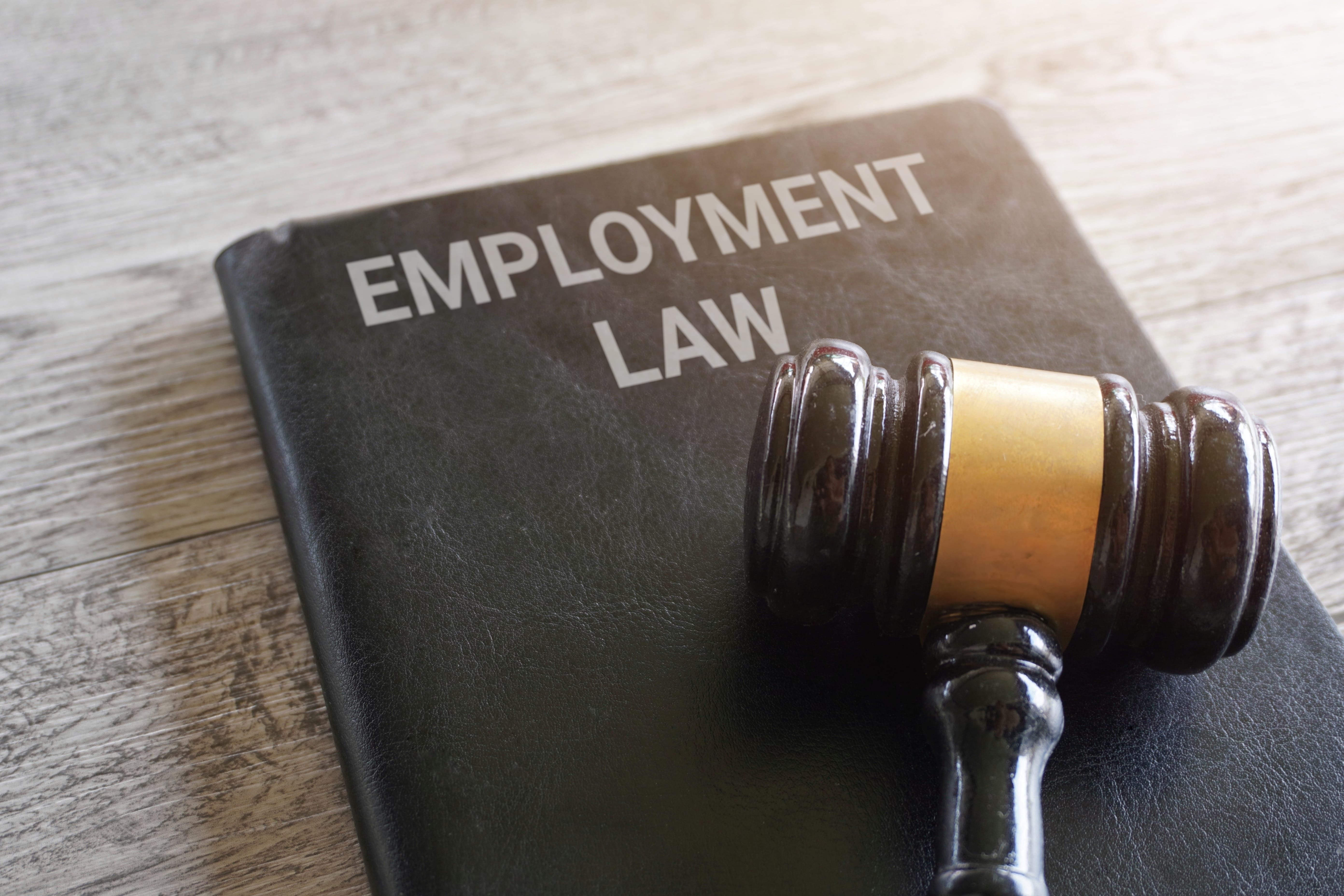 Promotion is not a favour—it’s a fundamental right, says High Court