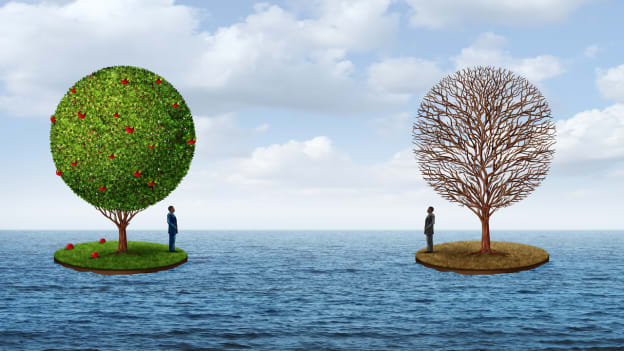 Article cover image