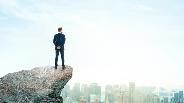 World's Top 100 CEOs 2017: HBR 