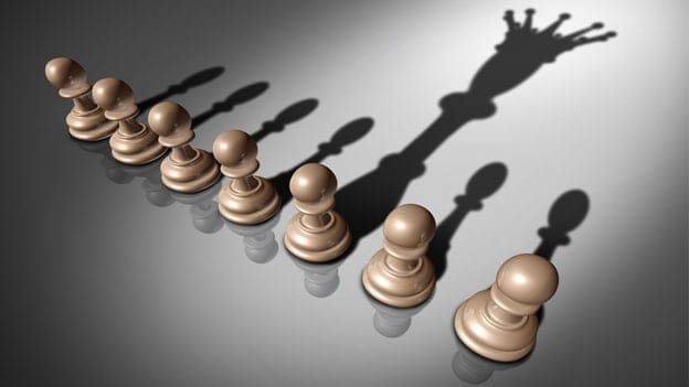 An aligned top team complements the CEO