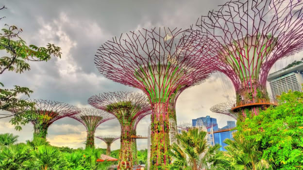 Green by Design: Singapore poised to lead digital green transition