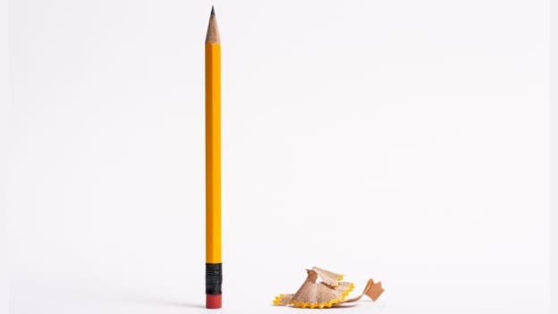 The LMS effect: HR's secret weapon for upskilling mastery