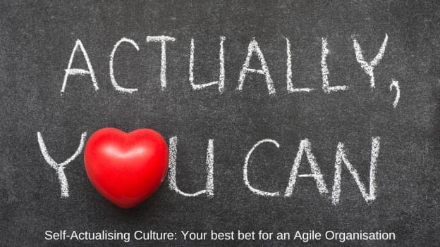 Self-Actualising Culture: Your best bet for an Agile Organisation and a Robust Bottomline