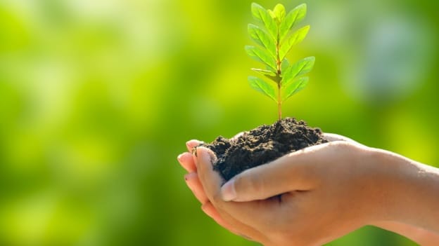 Nurturing green talent for a sustainable economy