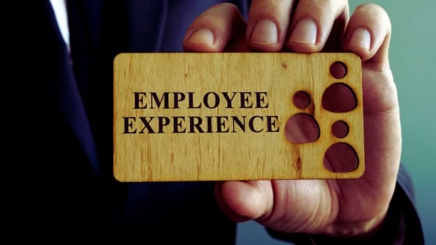 55% of employers in Australia value experience more than university degrees: Indeed