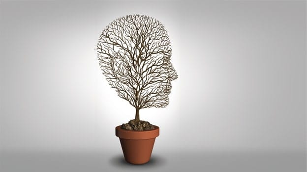 Article cover image