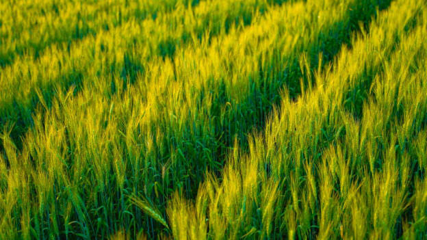 Article cover image