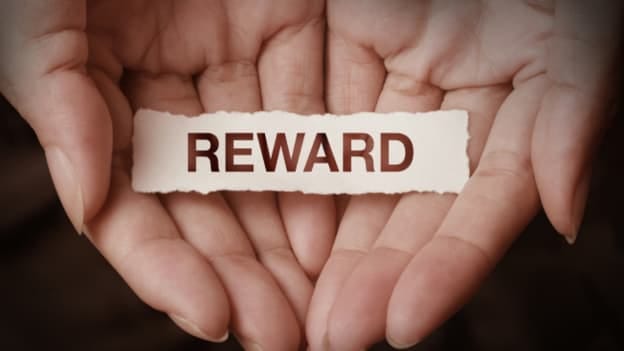 Total Rewards: Trends you should know in 2025