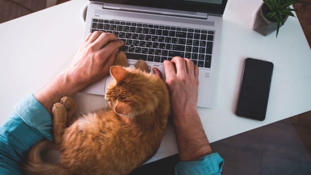 COVID-19 and its impact on gig working