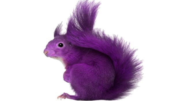 Recruitment: Are you also chasing the 'Purple Squirrel'?