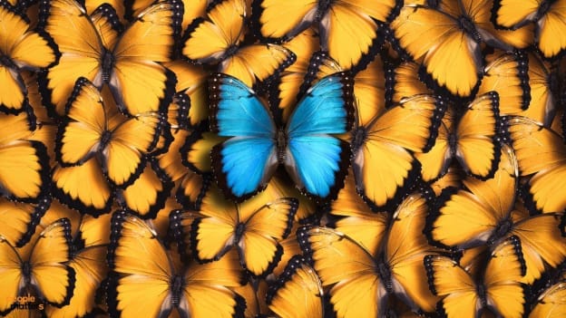 Standing out to fit in: How new employees can set themselves up for success at a new workplace
