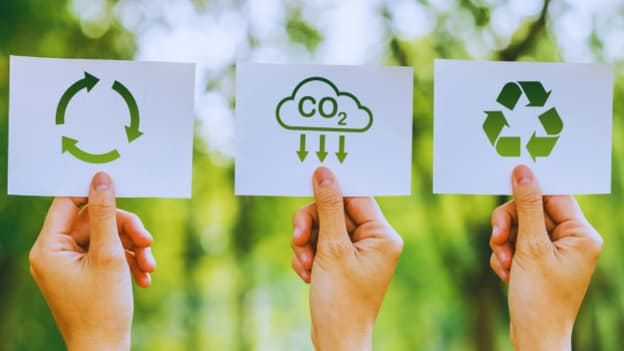 How businesses can drive progress to achieve Sustainable Development Goals
