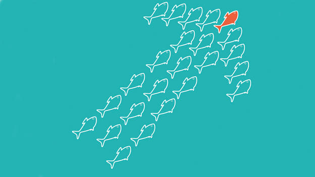 Article cover image