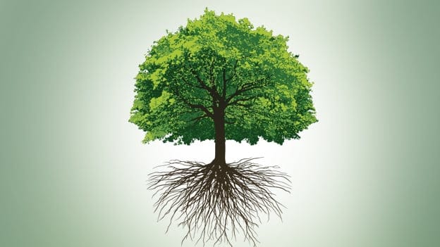 Article cover image