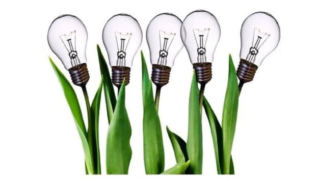 Founders of leading organisations like Zerodha & Udemy back startup school- Stoa